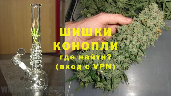 эйфоретик Верея