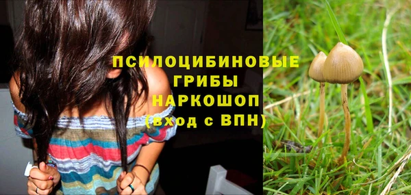 эйфоретик Верея